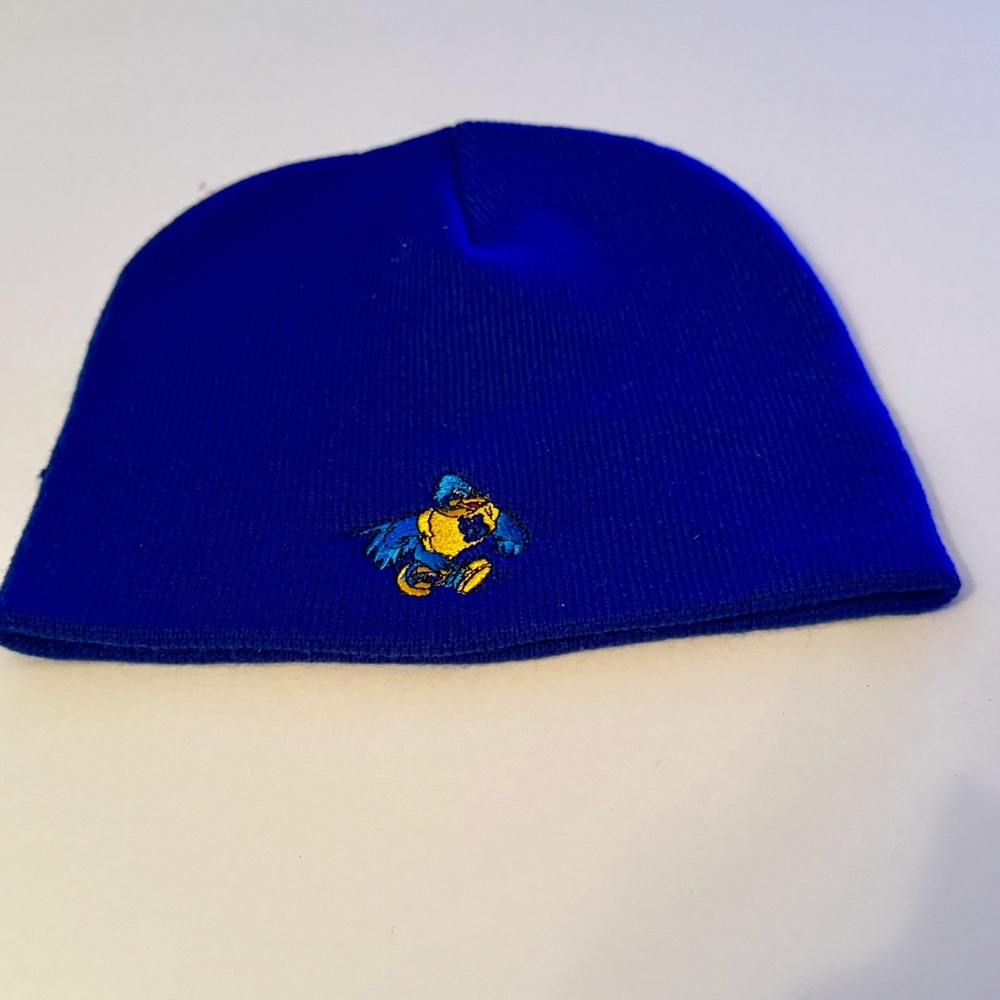 University of Delaware Beanie